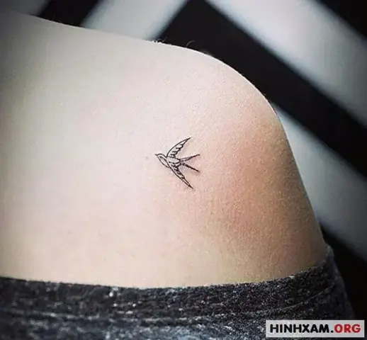 Đa Dạng Phong Cách Thiết Kế Hình Xăm Én