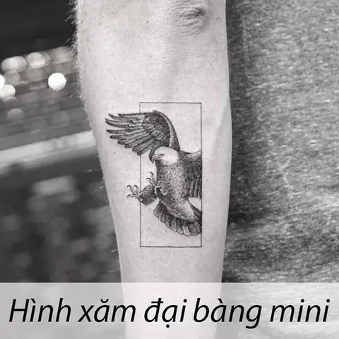 Bạn Có Thể Xăm Một Mẫu Hình Xăm Đại Bàng Ở Đâu?