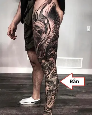 Có 6 Ý Nghĩa Sâu Sắc Về Hình Xăm Con Đại Bàng Cắp Rắn