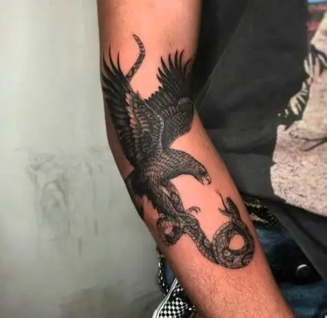 Ý Nghĩa Hình Xăm Đại Bàng Cắp Rắn