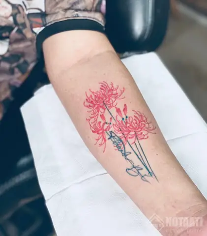 Hình Ảnh Cho Ý Nghĩa Hình Xăm Hoa Bỉ Ngạn Đỏ: Hình Ảnh Cho Ý Nghĩa Hình Xăm Hoa Bỉ Ngạn Đỏ: