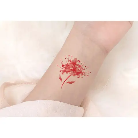 Hình Ảnh Cho Ý Nghĩa Hình Xăm Hoa Bỉ Ngạn Đỏ: Hình Ảnh Cho Ý Nghĩa Hình Xăm Hoa Bỉ Ngạn Đỏ: