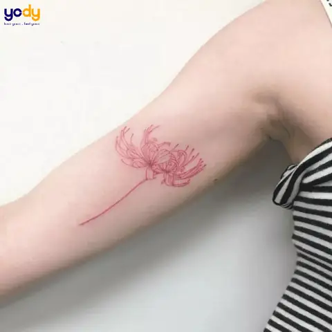 Hình Ảnh Cho Ý Nghĩa Hình Xăm Hoa Bỉ Ngạn Đỏ: Hình Ảnh Cho Ý Nghĩa Hình Xăm Hoa Bỉ Ngạn Đỏ: