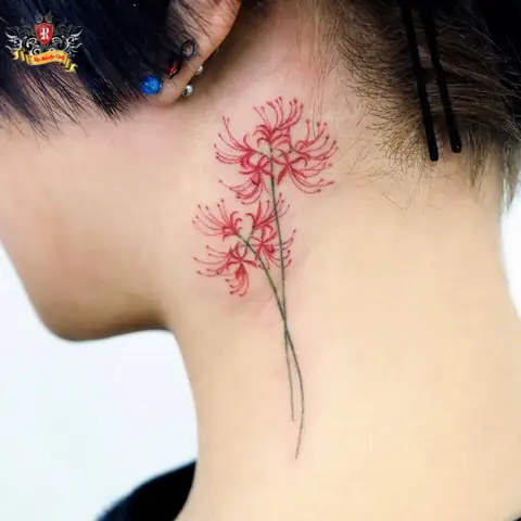 Hình Ảnh Cho Ý Nghĩa Hình Xăm Hoa Bỉ Ngạn Đỏ: Hình Ảnh Cho Ý Nghĩa Hình Xăm Hoa Bỉ Ngạn Đỏ: