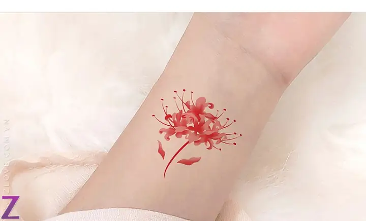 Hình Ảnh Cho Ý Nghĩa Hình Xăm Hoa Bỉ Ngạn Đỏ: Hình Ảnh Cho Ý Nghĩa Hình Xăm Hoa Bỉ Ngạn Đỏ: