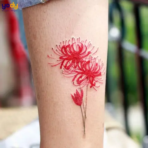 Hình Ảnh Cho Ý Nghĩa Hình Xăm Hoa Bỉ Ngạn Đỏ: