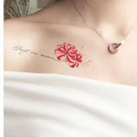 Hình Ảnh Cho Ý Nghĩa Hình Xăm Hoa Bỉ Ngạn Đỏ: Hình Ảnh Cho Ý Nghĩa Hình Xăm Hoa Bỉ Ngạn Đỏ: