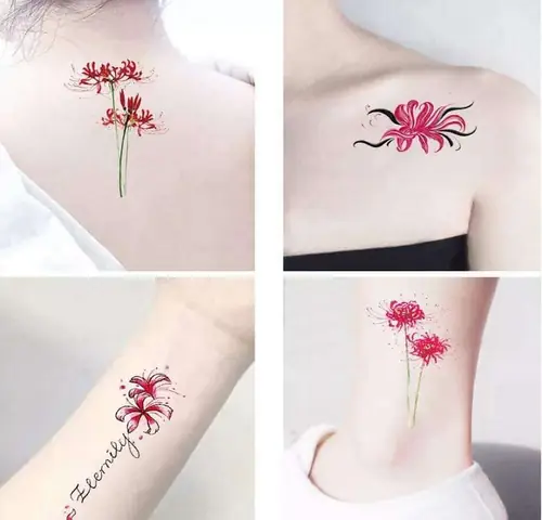 Hình Ảnh Cho Ý Nghĩa Hình Xăm Hoa Bỉ Ngạn Đỏ: Hình Ảnh Cho Ý Nghĩa Hình Xăm Hoa Bỉ Ngạn Đỏ: