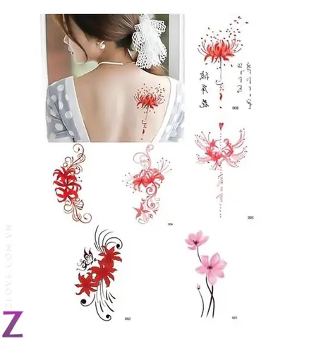 Hình Ảnh Cho Ý Nghĩa Hình Xăm Hoa Bỉ Ngạn Đỏ: Hình Ảnh Cho Ý Nghĩa Hình Xăm Hoa Bỉ Ngạn Đỏ: