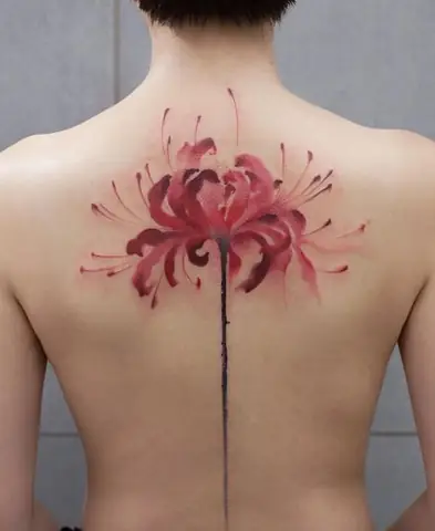 Hình Ảnh Cho Ý Nghĩa Hình Xăm Hoa Bỉ Ngạn Đỏ: Hình Ảnh Cho Ý Nghĩa Hình Xăm Hoa Bỉ Ngạn Đỏ: