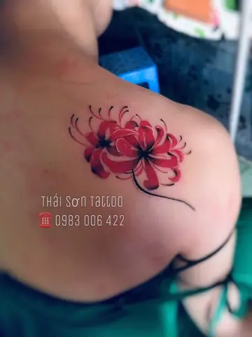Hình Ảnh Cho Ý Nghĩa Hình Xăm Hoa Bỉ Ngạn Đỏ: Hình Ảnh Cho Ý Nghĩa Hình Xăm Hoa Bỉ Ngạn Đỏ: