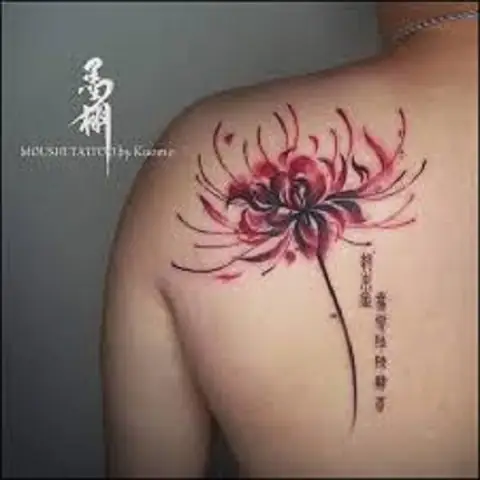 Hình Ảnh Cho Ý Nghĩa Hình Xăm Hoa Bỉ Ngạn Đỏ: Hình Ảnh Cho Ý Nghĩa Hình Xăm Hoa Bỉ Ngạn Đỏ: