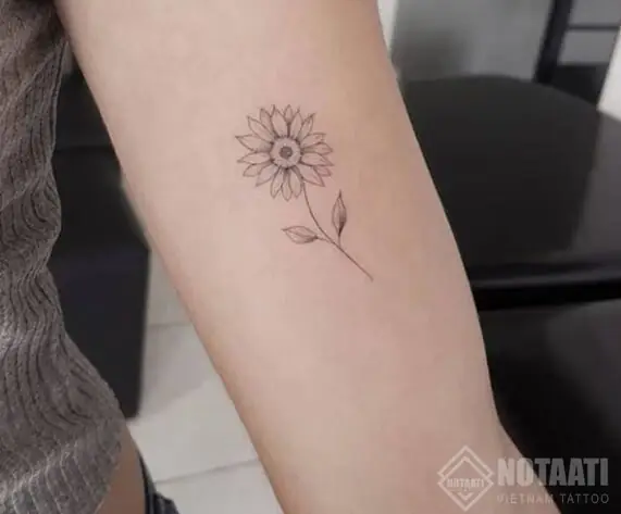 Tattoo Hoa Cúc Họa Mi Tattoo Hoa Cúc Họa Mi