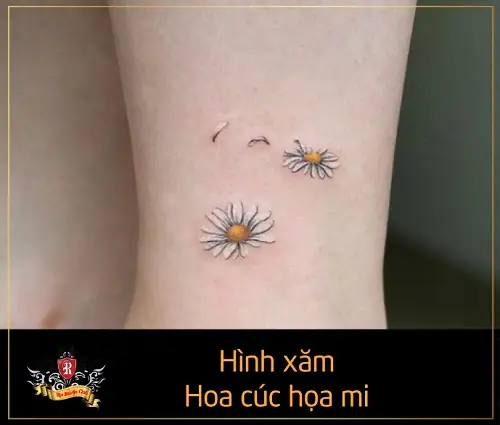 Ý Nghĩa Hình Xăm Hoa Cúc Họa Mi Trong Nghệ Thuật Tattoo.