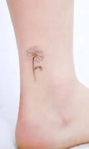 Biểu Tượng Cho Sức Khỏe Và Sự Trường Thọ.