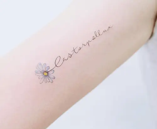 Địa Chỉ Xăm Hình Cúc Họa Mi Đẹp.
