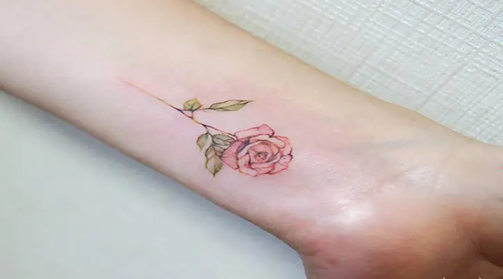 Gợi Ý Một Số Mẫu Hình Xăm Hoa Hồng Đơn Giản Và Đẹp Nhất Gợi Ý Một Số Mẫu Hình Xăm Hoa Hồng Đơn Giản Và Đẹp Nhất