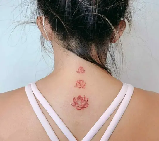 Hoa Sen Đá Mang Ý Nghĩa Gì Trong Hình Xăm?