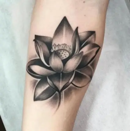 Ý Nghĩa Hình Xăm Lotus: Biểu Tượng Của Sự Giác Ngộ Và Vượt Lên Hoàn Cảnh