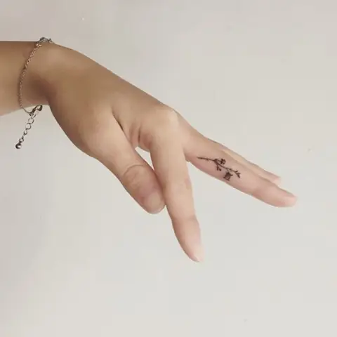 Thiên Nhiên – Hoa Lá, Cỏ Cây