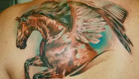 Tất Cả Về Hình Xăm Pegasus