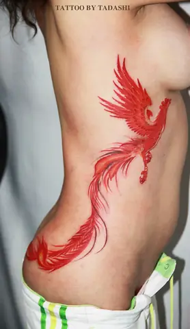 Hình Phượng Hoàng Ở Hông, Ngực