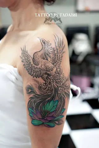 Phượng Hoàng Lửa Đẹp Ở Tay