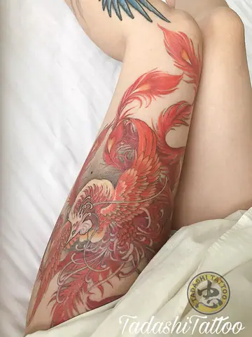 Hình Phượng Hoàng Ở Chân, Đùi