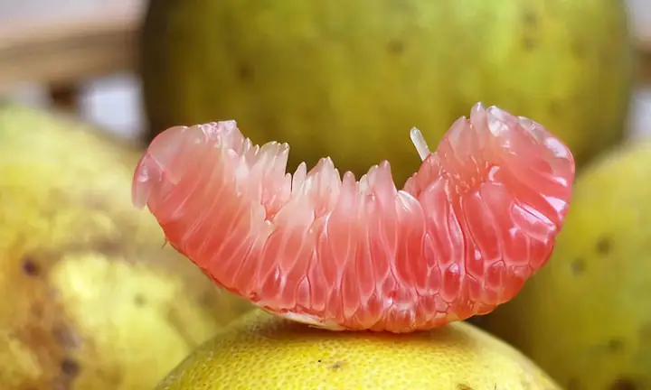 Bưởi