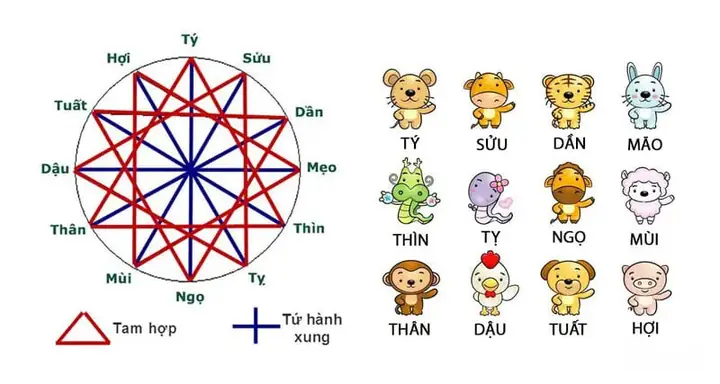 Phân Loại Theo Ngũ Hành