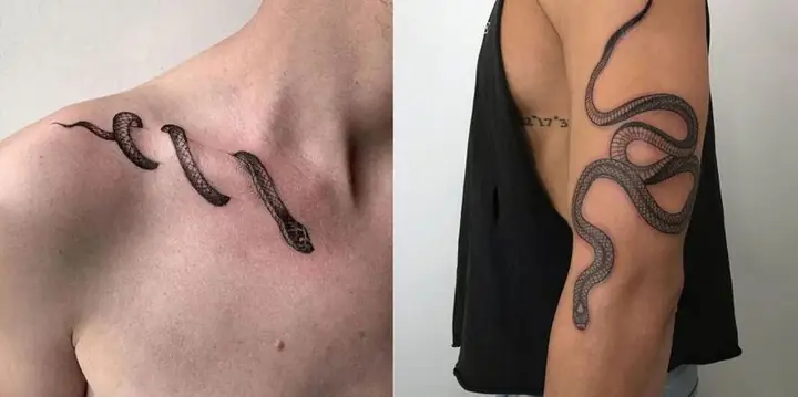 Hình Ảnh Cho Ý Nghĩa Hình Xăm Rắn Và Hoa Hồng: