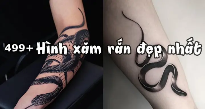Hình Ảnh Cho Ý Nghĩa Hình Xăm Rắn Và Hoa Hồng: