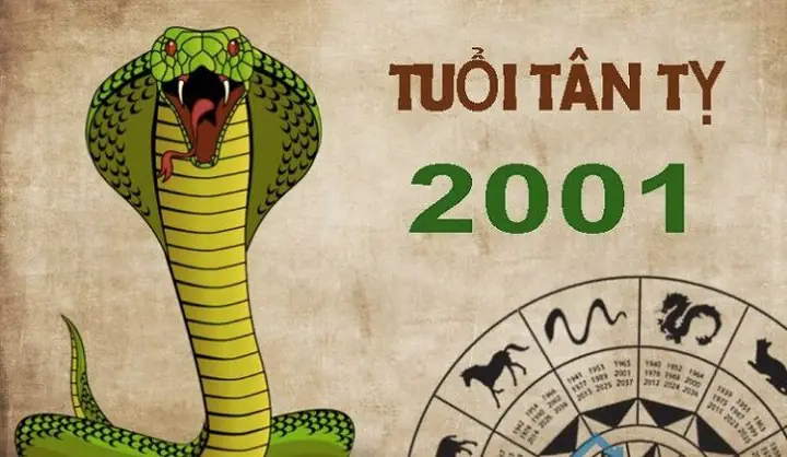 500+ Ý Tưởng Rắn Hình Xăm Hợp Tuổi Tân Tỵ 2001 Độc Đáo Và Sành Điệu Nhất 2024