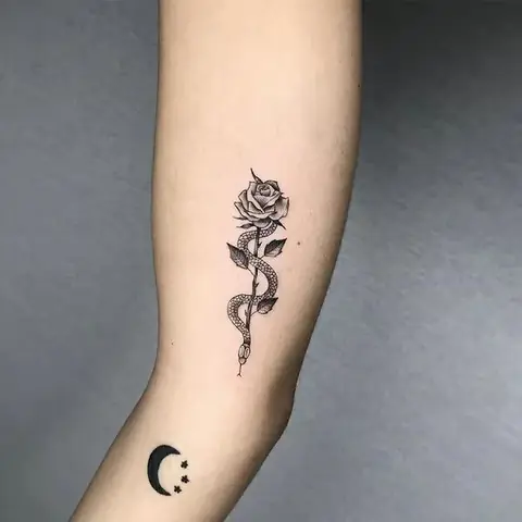 Hình Ảnh Cho Ý Nghĩa Hình Xăm Rắn Và Hoa Hồng: