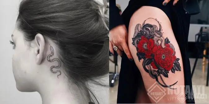Hình Ảnh Cho Ý Nghĩa Hình Xăm Rắn Và Hoa Hồng: