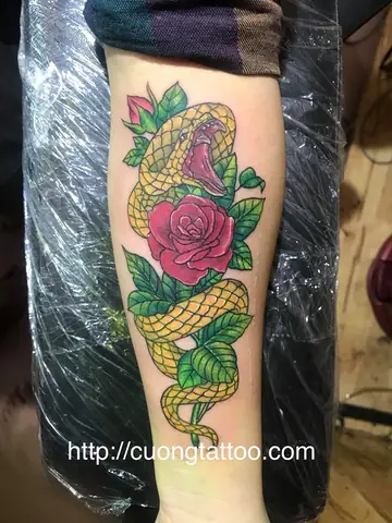 Hình Ảnh Cho Ý Nghĩa Hình Xăm Rắn Và Hoa Hồng: