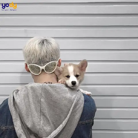 Khám Phá Ý Nghĩa Hình Xăm Sơn Tùng Ở Gáy Sau Cổ