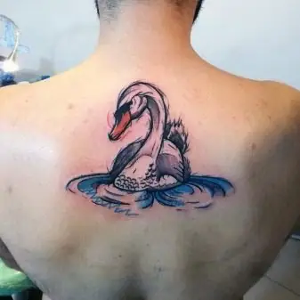 Đặt Ở Đâu?