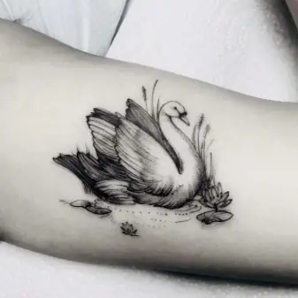 Tất Cả Về Hình Xăm Thiên Nga