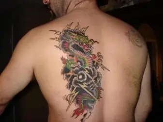 Lựa Chọn Phác Thảo
