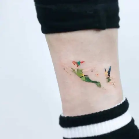 Campanilla Y Peter Pan