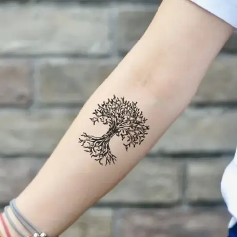 ‍♂️ Cây Đời Trong Văn Hóa Phật Giáo Và Hindu Giáo