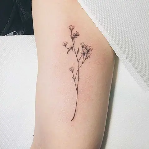 Hình Xăm Hoa Văn Ở Bắp Tay Làm Ở Đâu Đẹp Và Uy Tín?