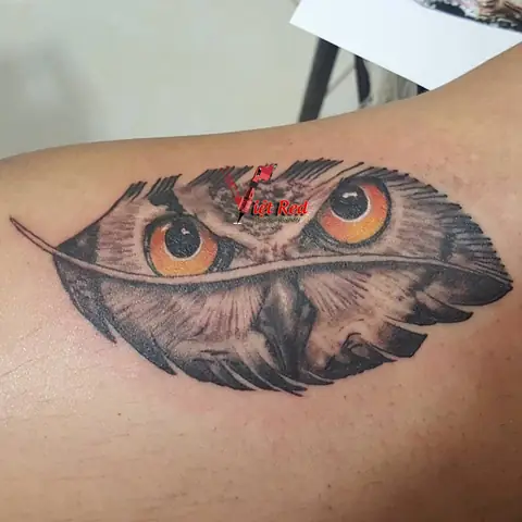 Ý Nghĩa Của Hình Xăm Con Cú Mèo