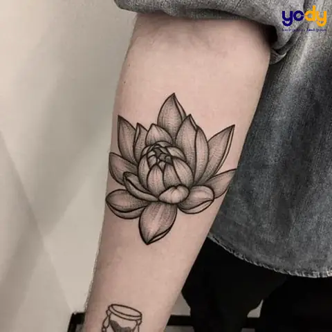 Một Vài Lưu Ý Khi Xăm Hình Xăm Hoa Sen
