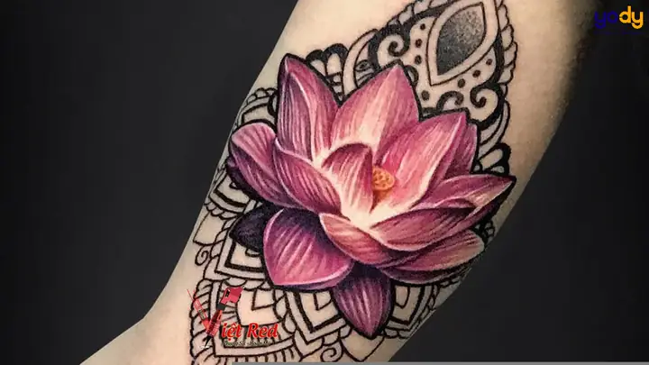 Hình Xăm Hoa Sen Hồng