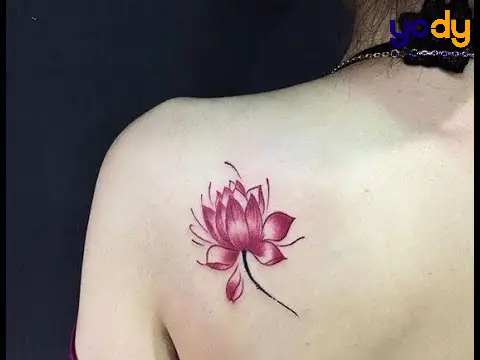 Hình Xăm Hoa Sen Hồng