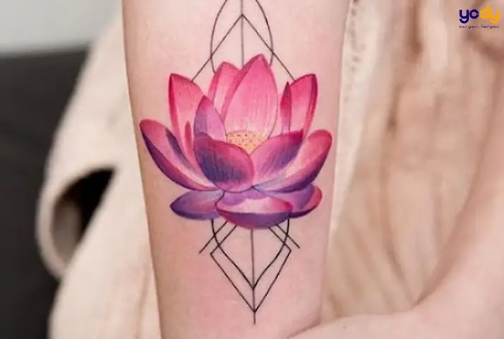 Hình Xăm Hoa Sen Đỏ