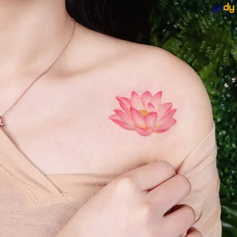 Hình Xăm Hoa Sen Hồng