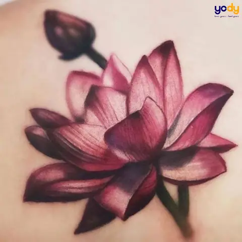 Hình Xăm Hoa Sen Hồng